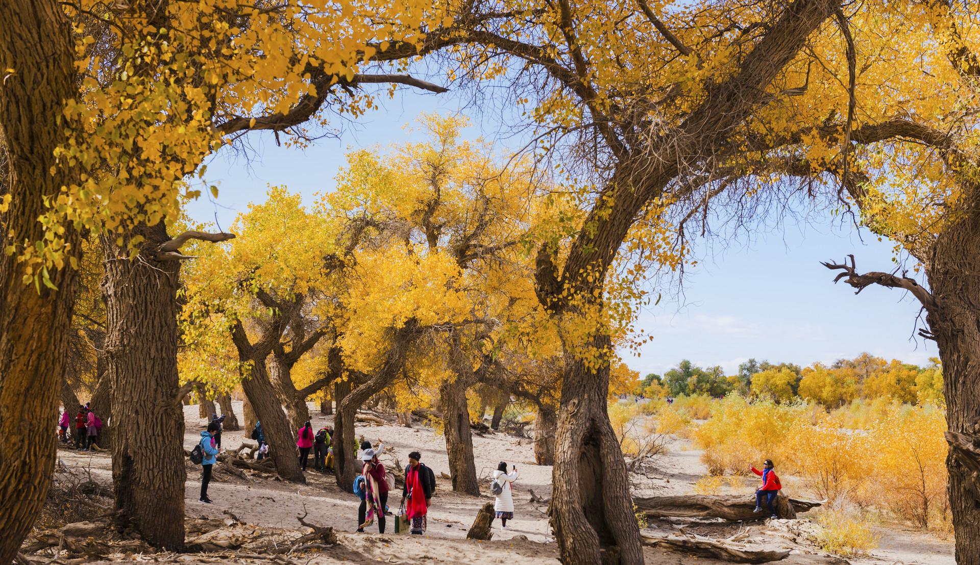 旅行|国庆节最适合去的8大旅行目的地，能避开人山人海，还有绝美秋色