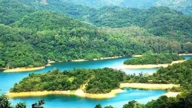 [王晶]王晶女助理为鬼片选景失踪，18年后一个女孩报警：她半夜托梦让我伸冤