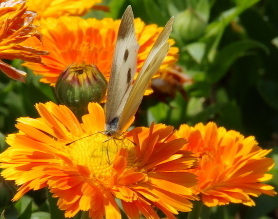 运势|未来10天好运到来，4属相横财来袭，事业蒸蒸日上，好运不断