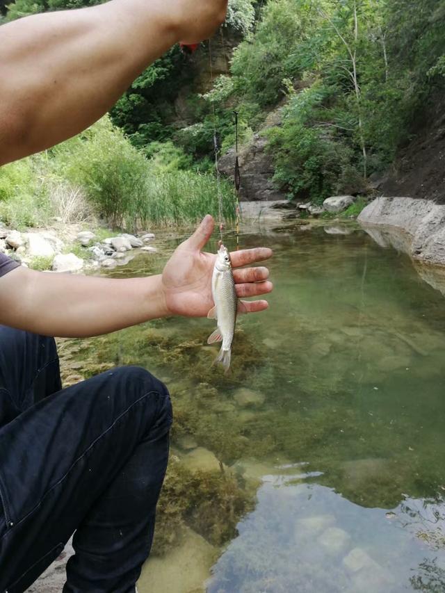 |10元浮漂与100元浮漂区别大吗，野钓时哪个表现会更出色呢