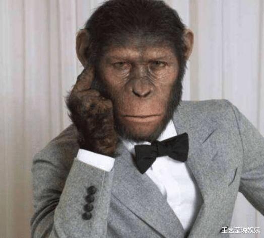 黑猩猩@曾和人类婴儿一起长大的黑猩猩,认为自己是人类,后来怎么样了?