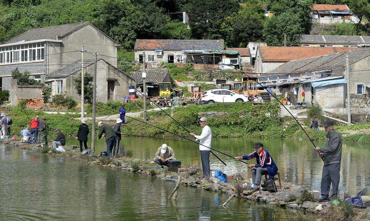 |这4种晴天，很适合秋季钓鱼，因为鱼类活跃，所以能有一个好收获
