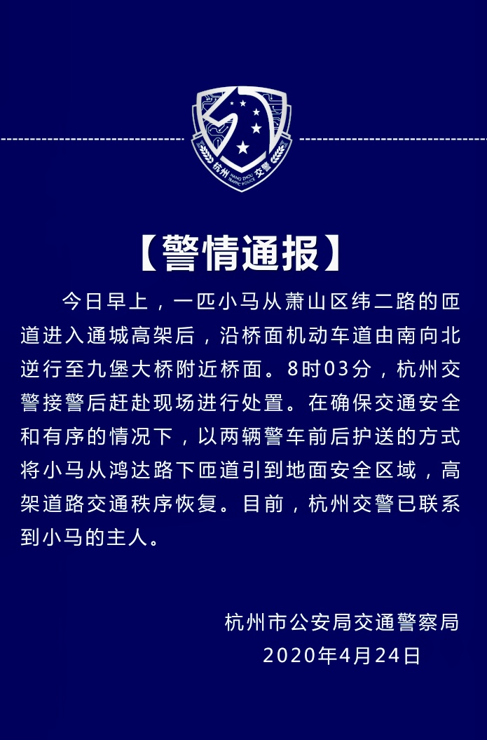 杭州：高架上跑来一匹马！交警发布通报