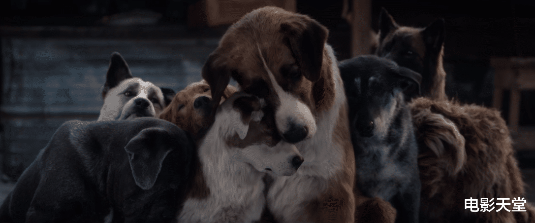 迪士尼▲迪士尼花了1亿,把经典改翻车了?