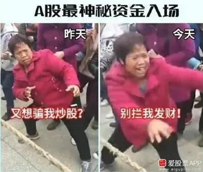 『浙商证券』果然疯了！！！
