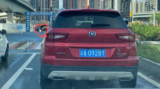 珠海交警|7号台风“海高斯”或将生成直逼广东！珠海台风预警生效！狂风暴雨……