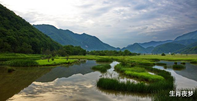 旧爱|8月，爱哭的是你，深爱的也是你，3生肖从一而终，纠缠旧爱不分开
