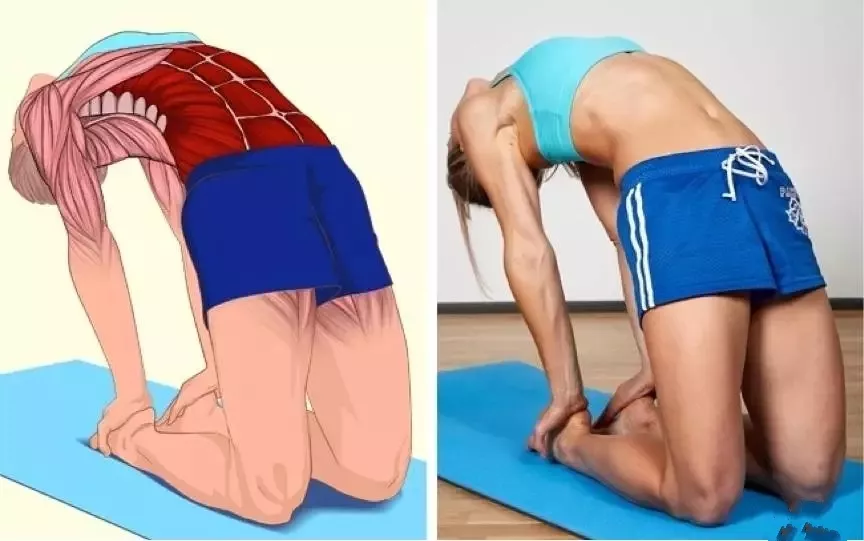 「臀部」18张瑜伽「解剖」图告诉你,精准科学拉伸很重要!【珍藏版】