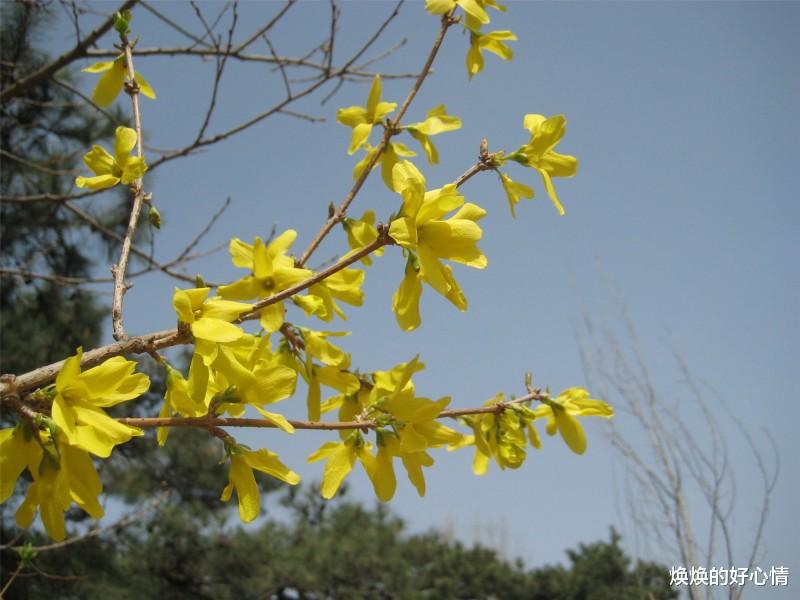 生肖▲7月过后,结成好姻缘,修成正果,好事将近的4大生肖