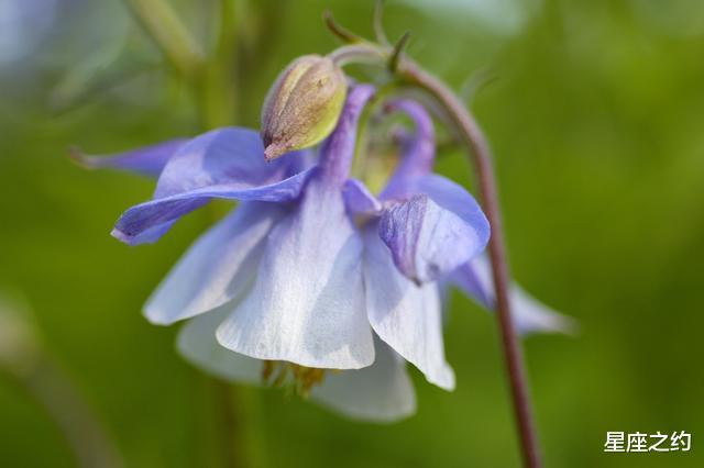 天蝎座|7月中旬之后，把握机会，努力向前，称心如意的三大星座