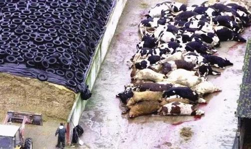 天文学家|丧尸病毒真的存在!?【每天一个小知识07】