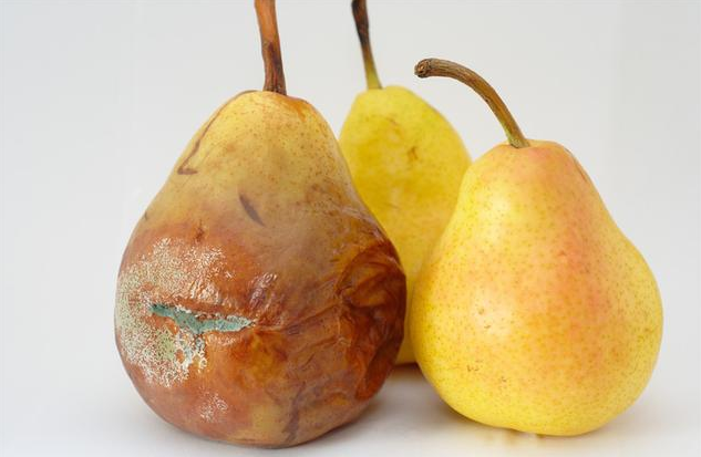 肠胃|胃，最“怕”4件事！提醒：忌3物，吃3蔬，做3事，肠胃越来越好