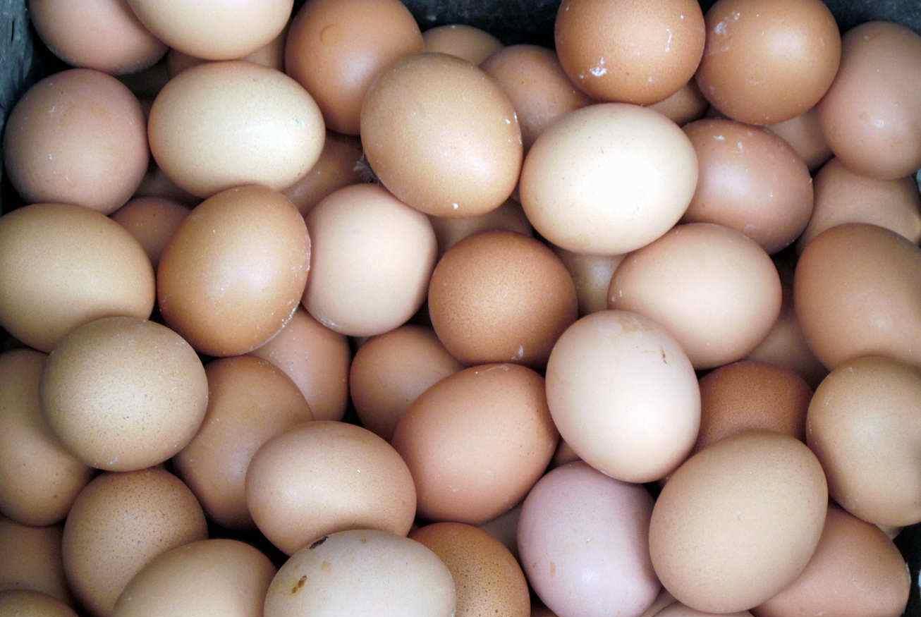 [蛋价]蛋价大面积下跌，多地跌破成本价！6月29日全国鸡蛋价格涨跌表