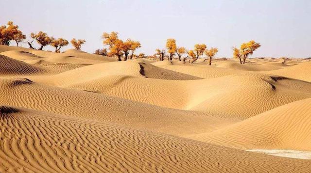 撒哈拉沙漠|撒哈拉沙漠有多深？如果把沙子挖空，底下会是什么？