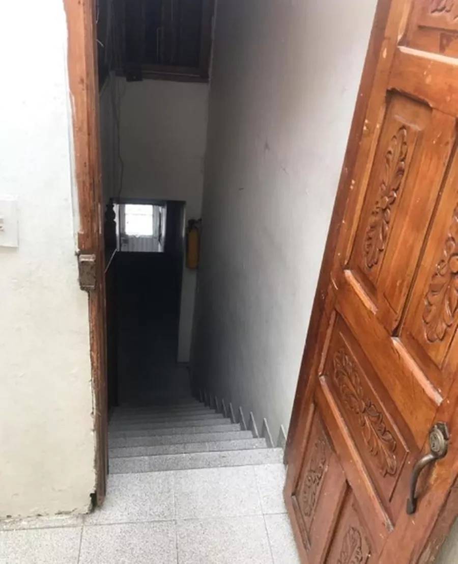 被三只恶狼死死围住，猫咪勇敢将对方击退，保护主人安全