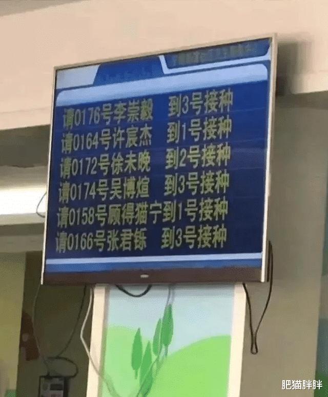 小姐姐|“姓张的还有比张三丰更出名的吗?”哈哈哈哈哈网友神评赢了!