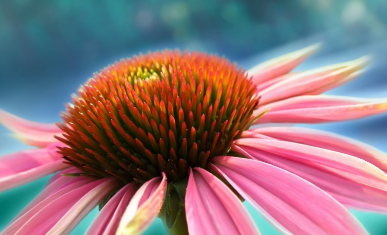 ▲5月下旬,事业红火,财神上门,顺利大吉的生肖