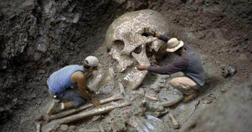 恐龙|地球存在了46亿年,真的相信只出现过一代人类吗?看完值得思考