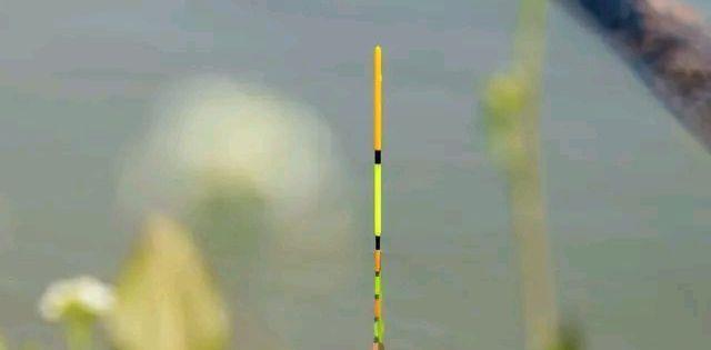 |走水怎么调漂？这4种调漂方式虽然简单，但是实用！