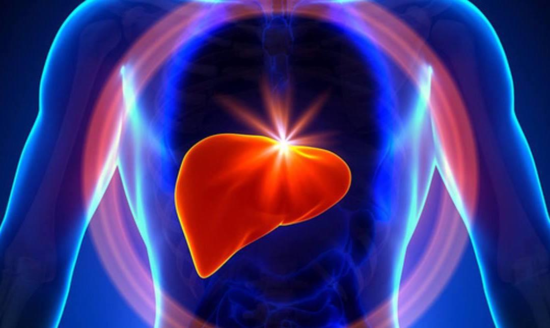 #肠胃#此物被医生当作“宝贝”,清肺养胃还护肝,却被我们当成厨余垃圾