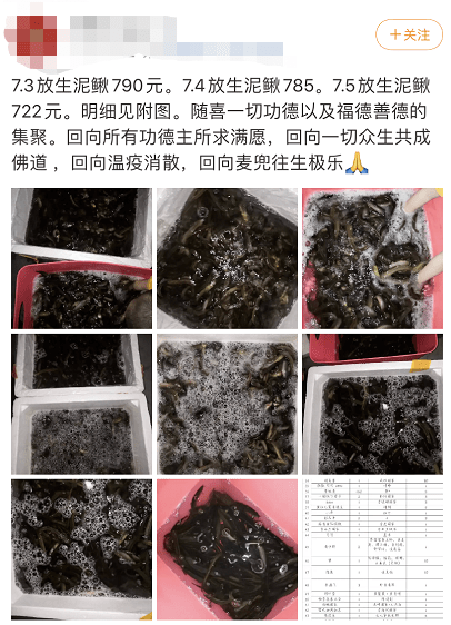 话晴空|为了活到99，大爷大妈们竟然“放生牛奶，矿泉水”