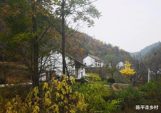 自驾|秦岭大山里的醉美自驾公路，路边全是美景，只是在深山没人知道！