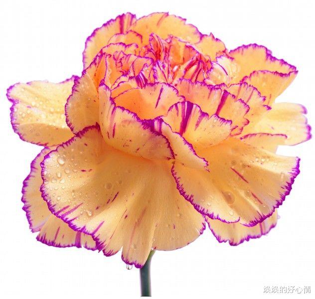 生肖|9月份一过，好运降临，遇贵人发大财，家大业大是注定的生肖！