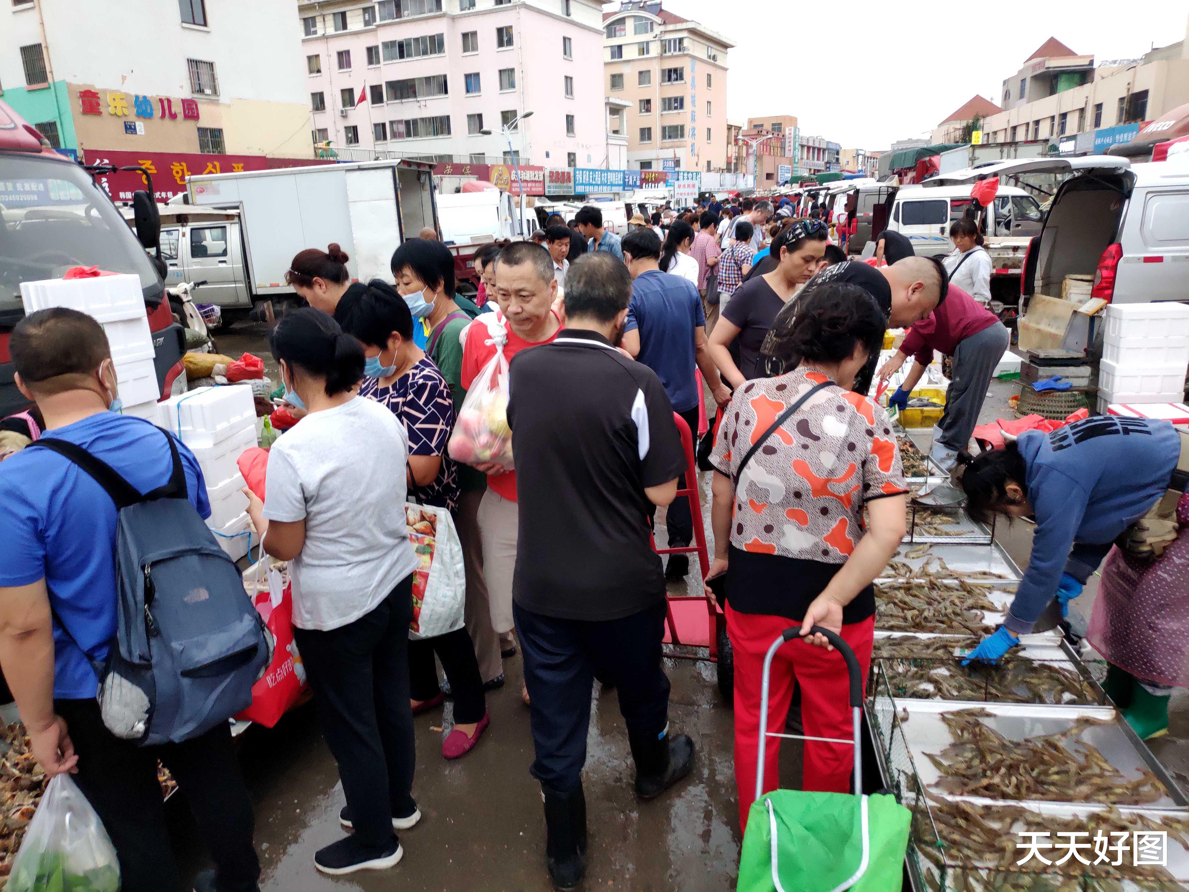青岛市|海鲜多得吃不完，青岛野生小海鲜排队上市，新鲜大虾只要16一斤