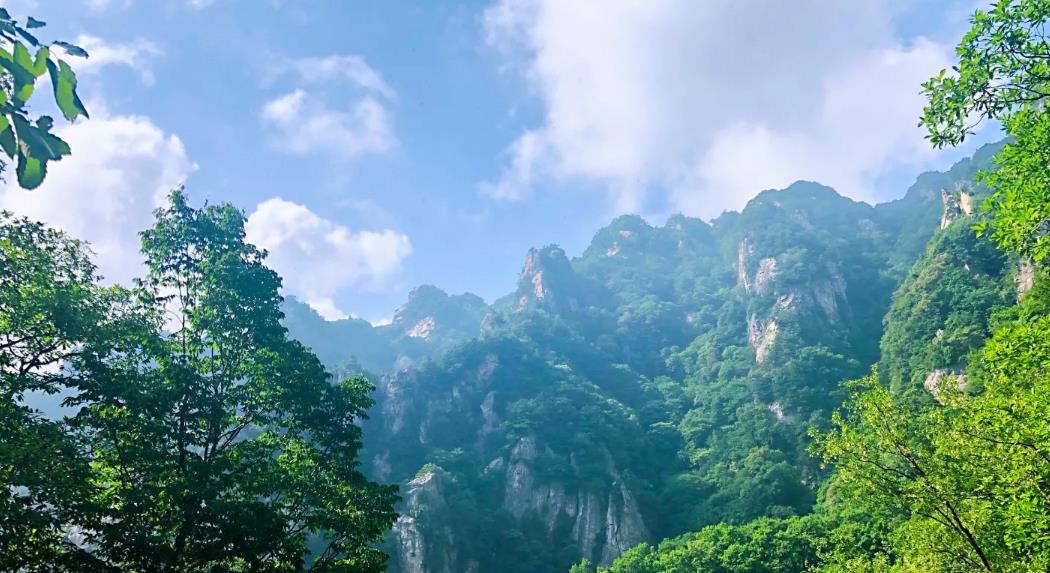 秦岭@秦岭中这座森林公园，奇山峻岭，景色宜人，国家4A级景区免费开放
