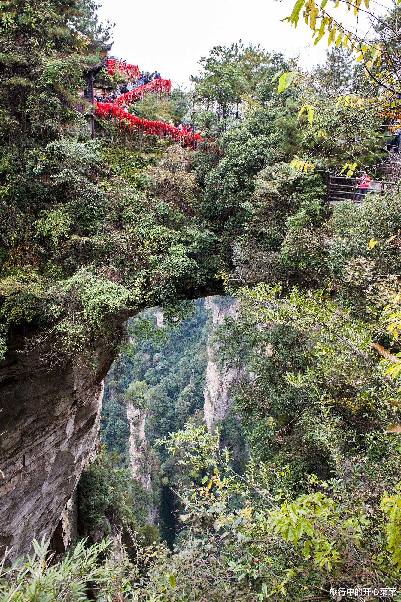 张家界|中国被游客误解最深的景区，以为遍地是坑，其实让人感觉很温暖