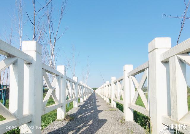 广角镜头|手机“超广角”拍摄热潮盛行，但你真的会用这项功能吗？