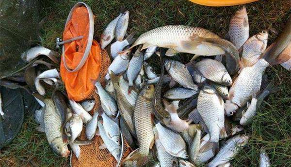 鲫鱼|冬季钓鱼有秘诀：“9字秘诀”看懂冬钓套路，天冷也能连竿上鱼！