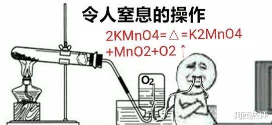 |被质疑的神童:“你们为啥阻拦我成为科学家的梦想?”