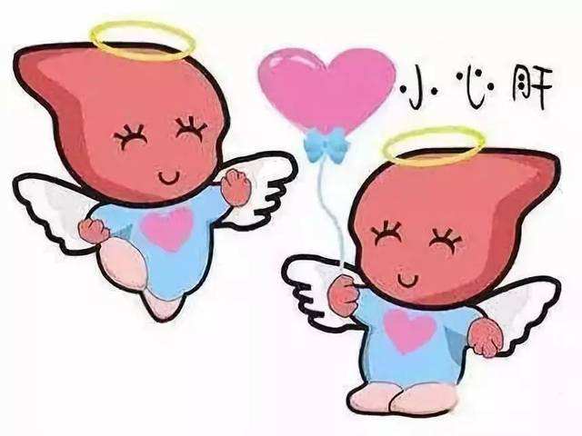 肝脏▲肝胆经是人体主要排污口