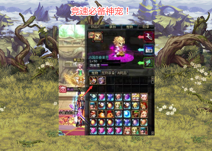旭旭宝宝|DNF：旭旭宝宝举办打桩比赛，绝版宠物火了，拍卖行翻了数倍