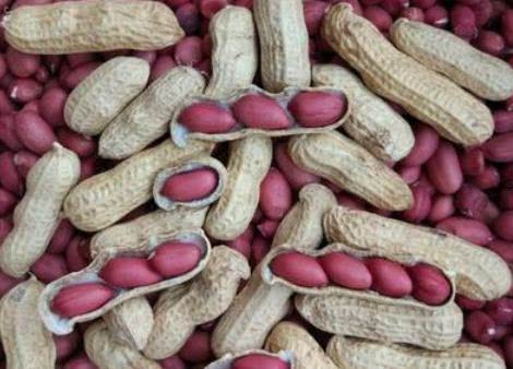 吃货踩了狗屎运的事情，多仁花生不算啥，最后才是中彩票一般的几率！