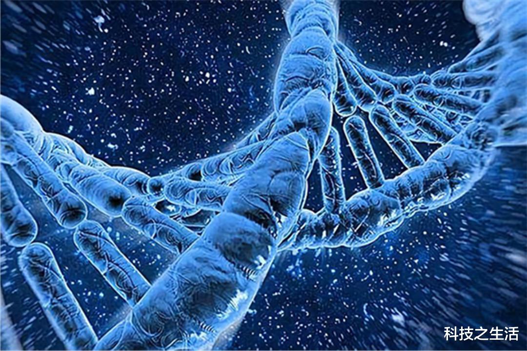 科学家|美国科学家发现“长寿酶”，再生能力超45倍，人类寿命或突破120岁！