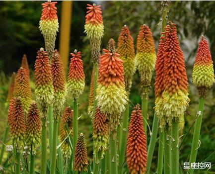 运势|哪些日子出生的人,职场中如鱼得水,能得人心,事业事半功倍