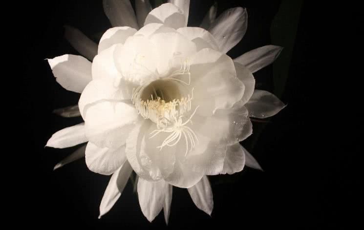 『运势』6月下旬开始运势飙升，添喜添财，事业走上坡的四大属相