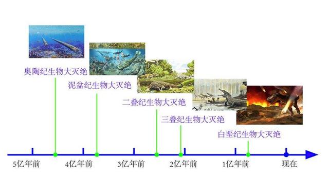 到底“一夫一妻”好还是“一夫多妻”好?研究结果,前者会灭种?