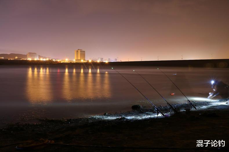 |夏季夜钓做好这三点,大鱼频频咬钩口不停