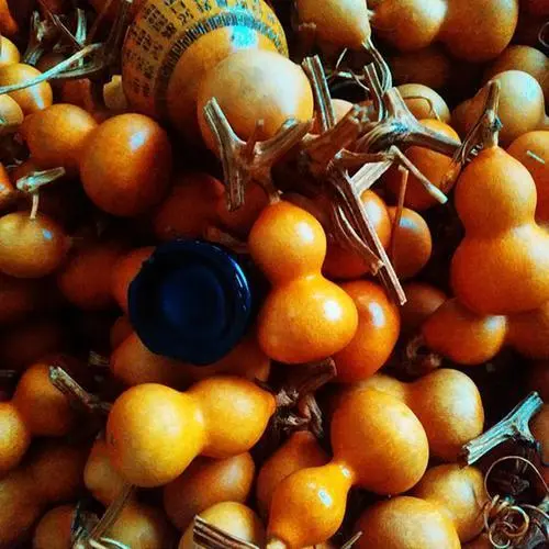 钱币|文玩圈惊现“天价葫芦”,是普通文玩葫芦的100倍