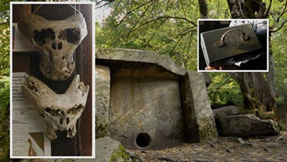 【外星生物】德国曾秘密接触外星生物？俄现奇异生物颅骨，附近又找到德国皮箱