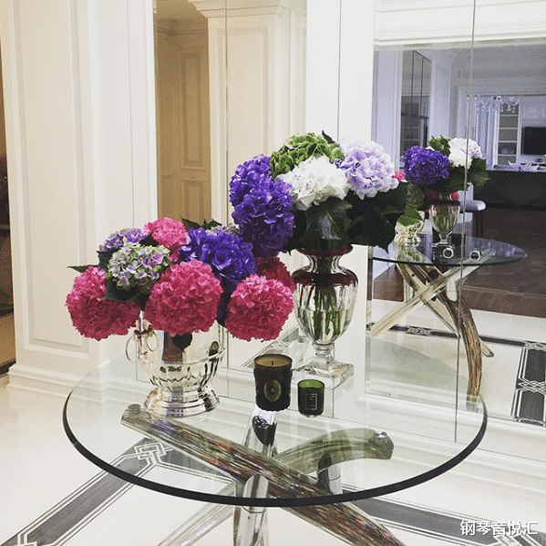 #阿依达#看了这么多场线上音乐会,你知道艺术家的家什么样子吗?