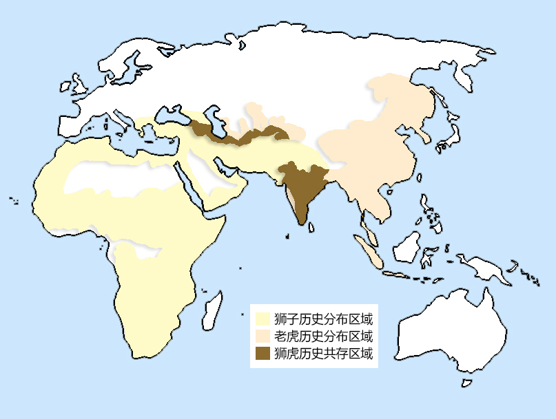 星云|从打下的地盘范围和大小上，就能看出狮子与老虎谁更厉害吗？
