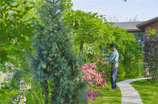 臆说古史|腾讯元老辞职到安徽隐居，造出一花园农场，每天对着200亩地发呆