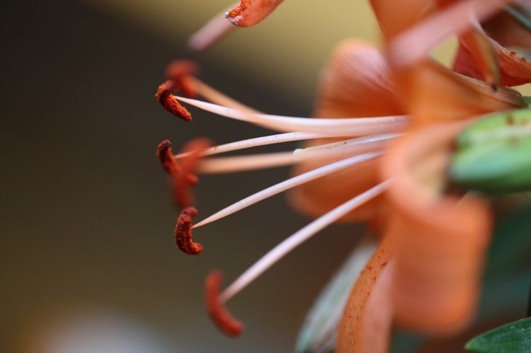 生肖|8月下旬,桃花运上上签,真爱躲都躲不掉,喜结良缘喜脱单的4生肖