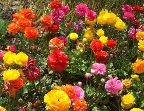 运势|今年的9月，4属相运势好转，好事连连，惊喜不断，心想事成