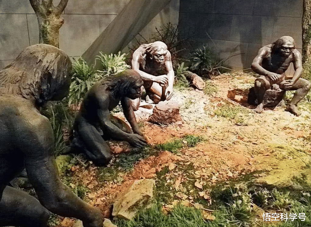 |雄性人类都是排泄和生殖共用一个器官，女性比男性进化更彻底？