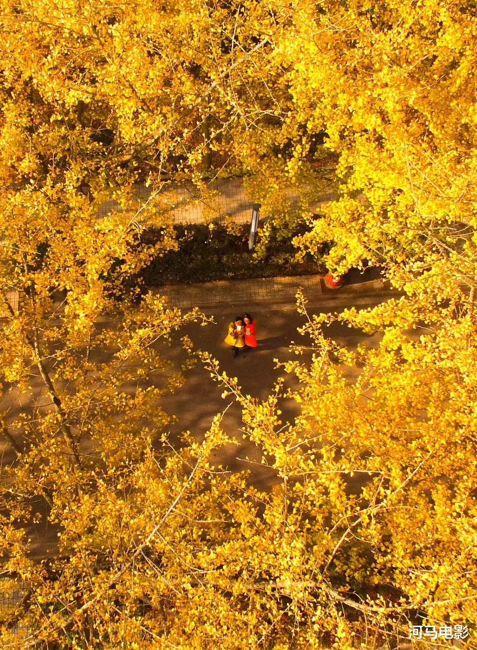 成都|秋天最值得去的八座古城,你去过几个?